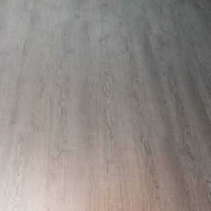 WhatsApp Image 2025-12-22 at 5.55.48 PM