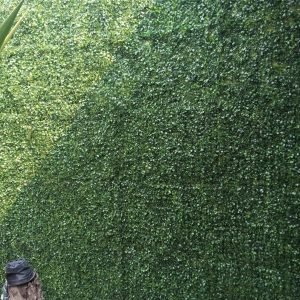 WhatsApp Image 2025-12-22 at 6.00.57 PM (5)