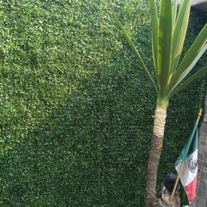 WhatsApp Image 2025-12-22 at 6.00.57 PM (6)